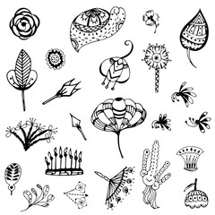 flower and plant free hand drawing vector symbol