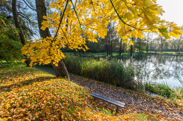 Bench in colorful autumn park over pond on sunny afternoon in Skawina, Poland