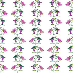 Obraz na płótnie Canvas pattern pink-purple flowering bougainvillea garden in watercolor style