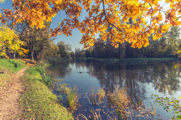 Fototapeta premium Pathway in colorful autumn park over pond on sunny afternoon in Skawina, Poland
