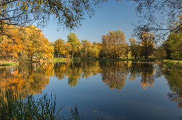 Lake in colorful autumn park over pond on sunny afternoon in Skawina, Poland