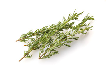 ローズマリー　Rosemary