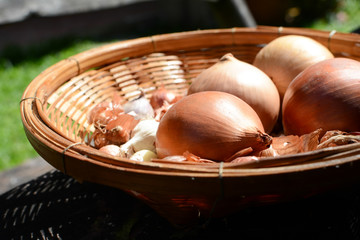 onion and garlic in basket