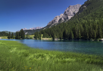Fototapeta na wymiar Gebirgssee Lago Agola in den Alpen,Italien, grünes Gras 