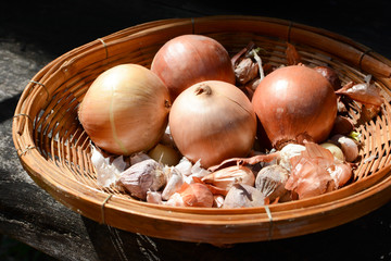 onion and garlic in basket