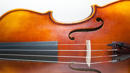 Wood violin body detail  on white