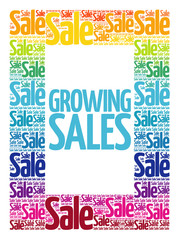 Growing Sales words cloud, business concept background