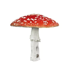Fotobehang Red poison mushroom © Ana Gram