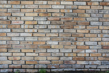 Obraz premium brick wall