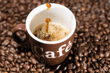 Eine braun-weisse Tasse steht in Kaffeebohnen und wird mit frisch gebrühtem Kaffee befüllt.
