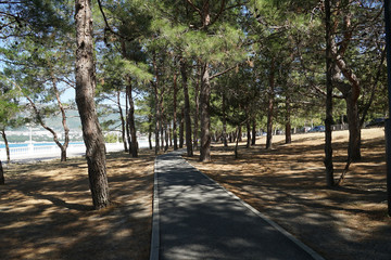 park