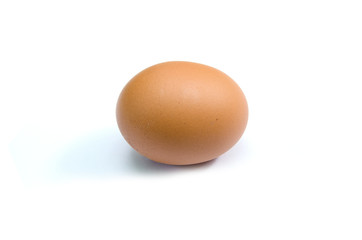 Single brown chicken egg isolated set horizontal on white background