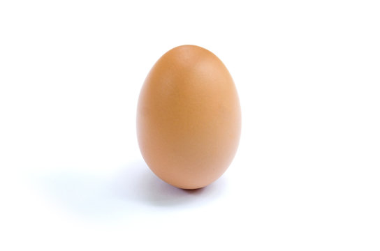Single brown chicken egg isolated set vertical on white background