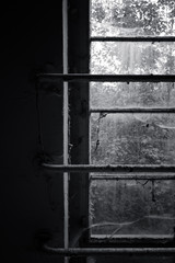 dark room with old prison bars