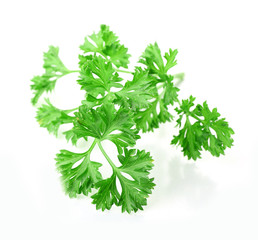 Fresh parsley isolated on white