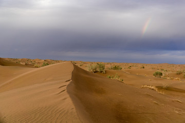 Fototapeta na wymiar Iran : le Dasht-e Kavir nommé aussi Kavir-e Namak ou Grand désert salé est un désert au milieu du plateau iranien