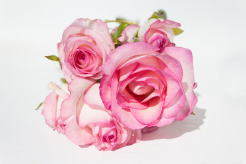 Fototapeta na wymiar bunch pink roses on white background
