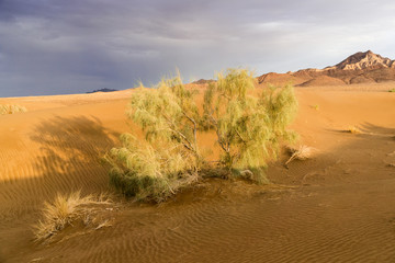 Fototapeta na wymiar Iran : le Dasht-e Kavir nommé aussi Kavir-e Namak ou Grand désert salé est un désert au milieu du plateau iranien