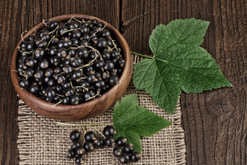 Currant Berries Vintage