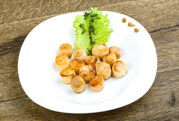 Scallops