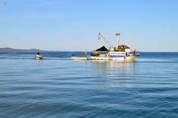 Obraz premium Fishing trawler and boats with fishermen in calm blue sea