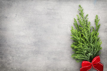 Green pine branch. Christmas decor background.