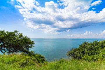 View point , sky tree and sea