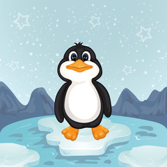 A cute little penguin on a bit of ice