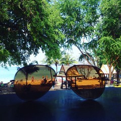 the world in pink glasses