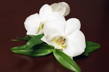 Obraz na płótnie Canvas Spa orchid green towel
