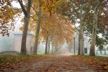 Obraz premium Ancient fortress beside a path between two roxs of tree with yellow leaves in a foggy autumn morning - Ferrara, Italy