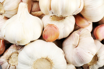 Garlic background