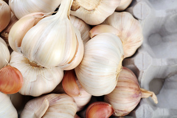 Garlic background