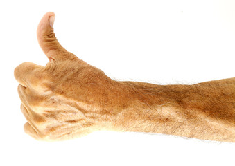 Thumbs up. 