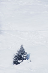 Fototapeta na wymiar Slope with ski traces