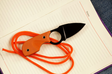 Small knife for the hidden carrying