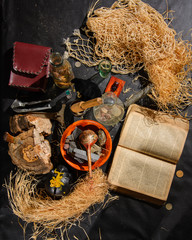 Scary Halloween laboratory
