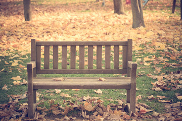Panchina in un parco in autunno