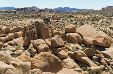 Fototapeta na wymiar Rock Formations in Mojave Desert, Joshua Tree National Park, California, USA