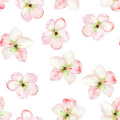 Fototapeta na wymiar A seamless floral pattern with the tender pink apple tree blooming flowers, painted in a watercolor on a white background