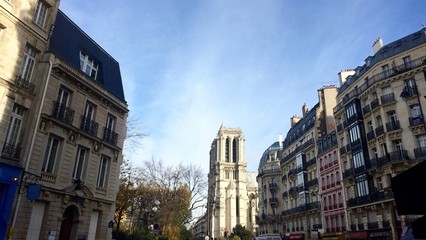 Parigi, Notre Dame da Quai de Montebello