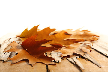 Yellow autumn leaves on wooden table, isolated on white