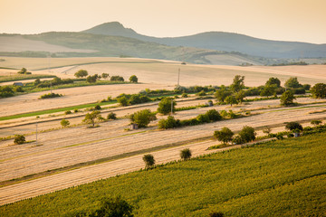 Fototapeta premium Aerial view of agricultural fields