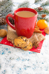 Winter decoration. Composition on wood background.