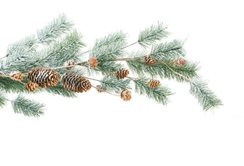 Christmas decoration on white background