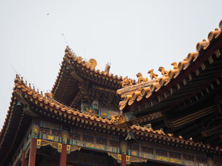 Lama Temple complex