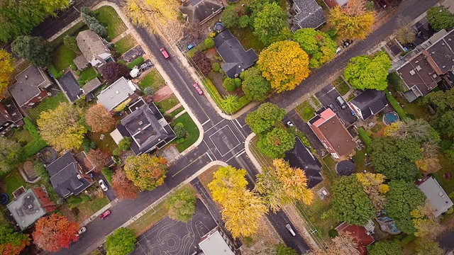 Top Suburban View of Montreal and beautiful Trees