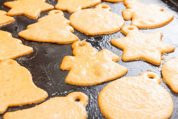 Christmas homemade gingerbread cookies