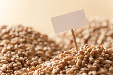 Heap of a wheat grain