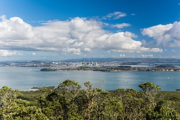 view on auckland from Rangitoto Island in New Zealand